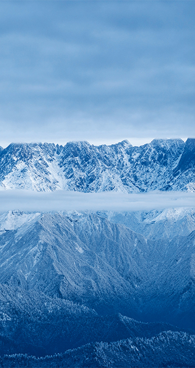 关于DCBox小金库